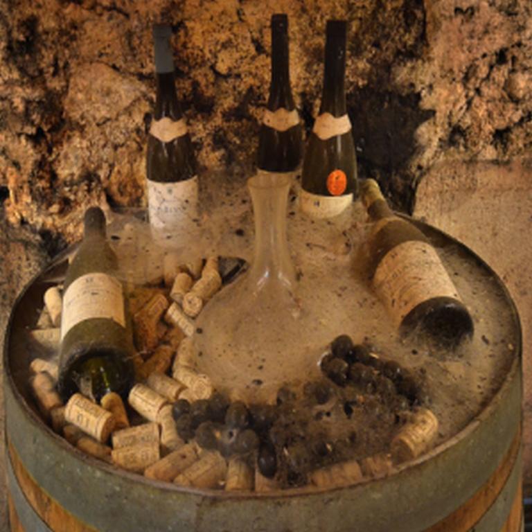 Chateau Rieutort Saint-Pargoire Екстериор снимка